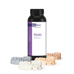 NextDent Model 1 kg sand